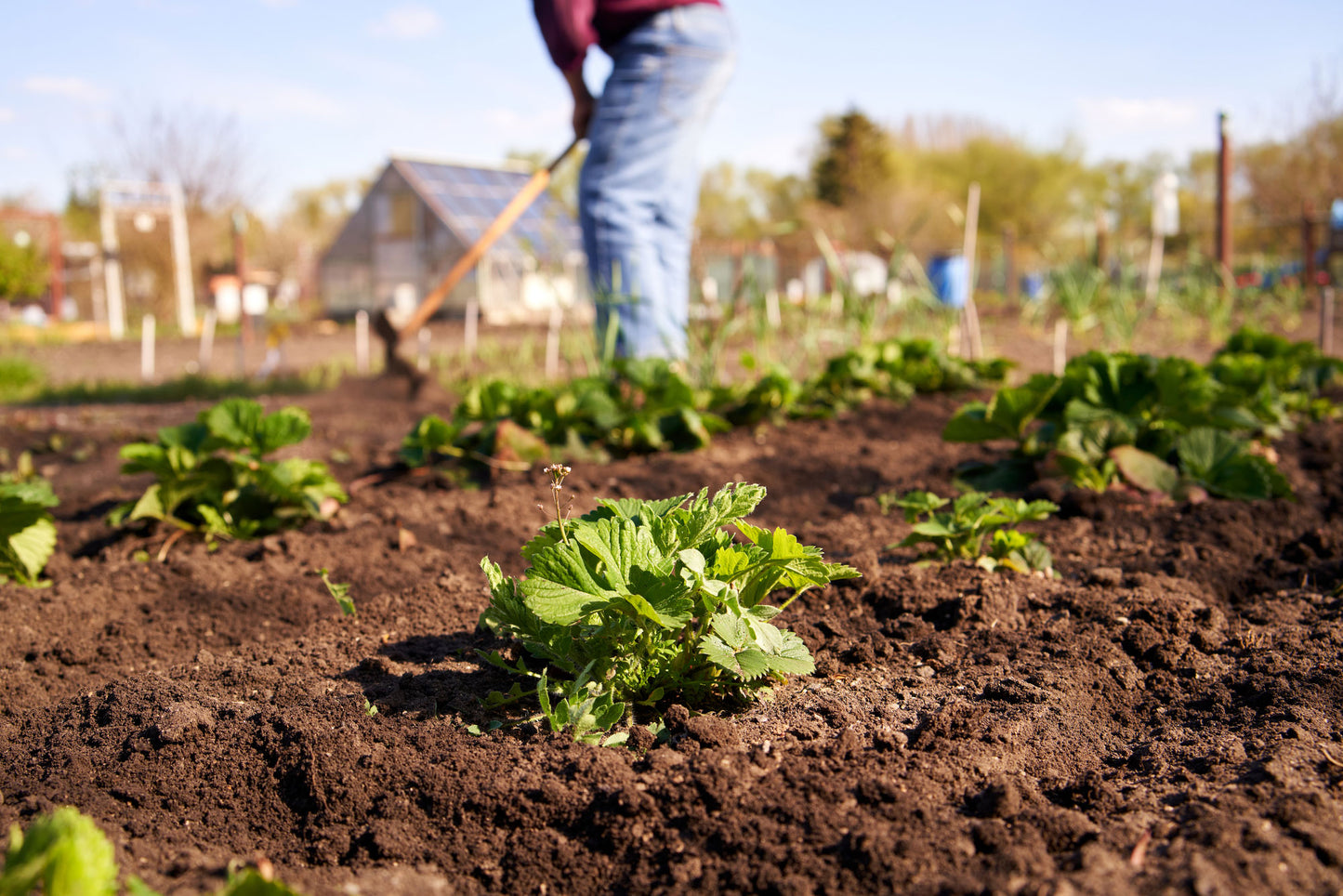 Off-Grid Living: How to Become Self-Sufficient